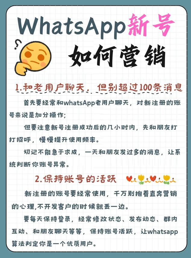 WhatsApp新号营销攻略！